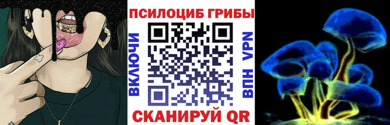 Галлюциногенные грибы ЛСД  blacksprut зеркало  Каменногорск 